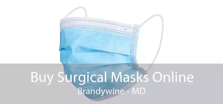 Buy Surgical Masks Online Brandywine - MD