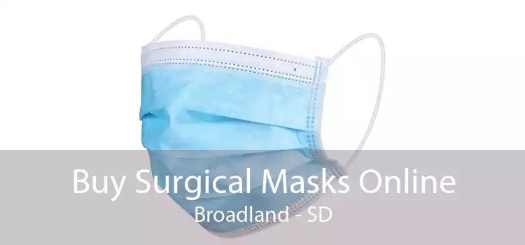 Buy Surgical Masks Online Broadland - SD